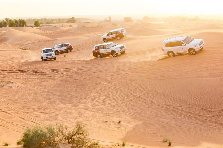 Experience the thrill of Dubai's sand dunes as you navigate the desert landscape in stylish vehicles followed by a delightful barbecue dinner under the stars. A truly memorable adventure awaits.